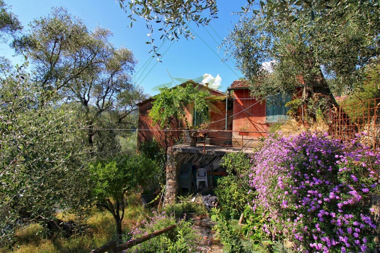 IMG-20250730-WA0143.jpg - Rustic Via Ugo Campodonico Caduto Partigiano 6, Rapallo - photo 3