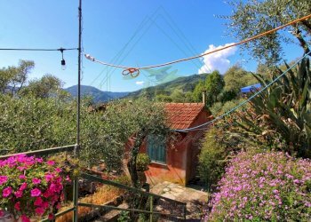 IMG-20250730-WA0098.jpg - Rustico Via Ugo Campodonico Caduto Partigiano 6, Rapallo - foto 1