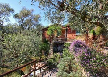 IMG-20250730-WA0140.jpg - Rustico Via Ugo Campodonico Caduto Partigiano 6, Rapallo - foto 2