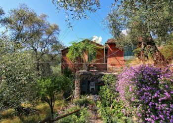 IMG-20250730-WA0143.jpg - Rustico Via Ugo Campodonico Caduto Partigiano 6, Rapallo - foto 3