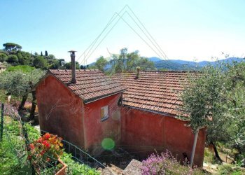 IMG-20250730-WA0102.jpg - Rustico Via Ugo Campodonico Caduto Partigiano 6, Rapallo - foto 5