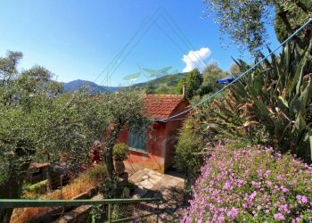 IMG-20250730-WA0107.jpg - Rustico Via Ugo Campodonico Caduto Partigiano 6, Rapallo - foto 6