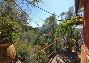 IMG-20250730-WA0113.jpg - Rustico Via Ugo Campodonico Caduto Partigiano 6, Rapallo - foto 9