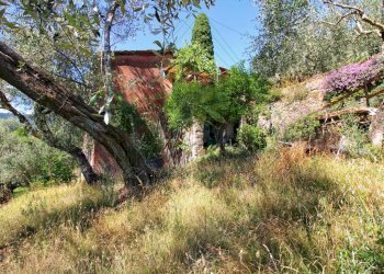 IMG-20250730-WA0144.jpg - Rustico Via Ugo Campodonico Caduto Partigiano 6, Rapallo - foto 10