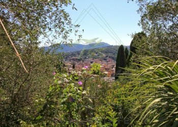 IMG-20250730-WA0115.jpg - Rustico Via Ugo Campodonico Caduto Partigiano 6, Rapallo - foto 11