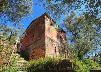 IMG-20250730-WA0116.jpg - Rustico Via Ugo Campodonico Caduto Partigiano 6, Rapallo - foto 12