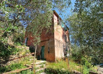 IMG-20250730-WA0123.jpg - Rustico Via Ugo Campodonico Caduto Partigiano 6, Rapallo - foto 13