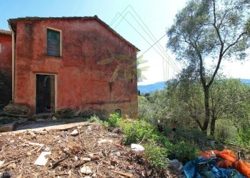 IMG-20250730-WA0124.jpg - Rustico Via Ugo Campodonico Caduto Partigiano 6, Rapallo - foto 14