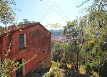 IMG-20250730-WA0127.jpg - Rustico Via Ugo Campodonico Caduto Partigiano 6, Rapallo - foto 15