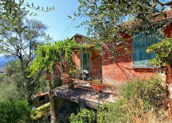 IMG-20250730-WA0131.jpg - Rustico Via Ugo Campodonico Caduto Partigiano 6, Rapallo - foto 16