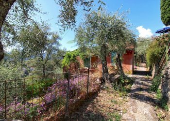 IMG-20250730-WA0132.jpg - Rustico Via Ugo Campodonico Caduto Partigiano 6, Rapallo - foto 17