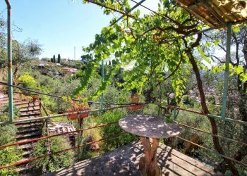 IMG-20250730-WA0151.jpg - Rustico Via Ugo Campodonico Caduto Partigiano 6, Rapallo - foto 20