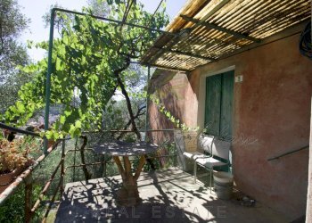 IMG-20250730-WA0099.jpg - Rustico Via Ugo Campodonico Caduto Partigiano 6, Rapallo - foto 21