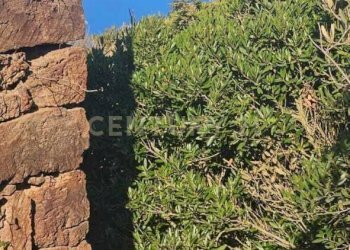 WhatsApp Image 2025-10-28 at 18.03.18.jpeg - Casa indipendente Vicolo del Tufo 12, Pantelleria - foto 3