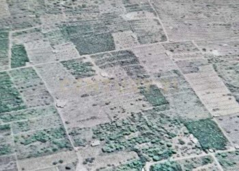 WhatsApp Image 2025-10-28 at 18.02.48.jpeg - Casa indipendente Vicolo del Tufo 12, Pantelleria - foto 8