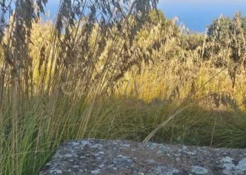 WhatsApp Image 2025-10-28 at 18.03.17.jpeg - Casa indipendente Vicolo del Tufo 12, Pantelleria - foto 14