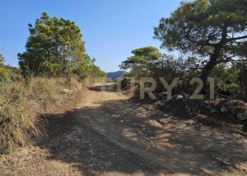 WhatsApp Image 2025-10-28 at 18.03.20 (1).jpeg - Casa indipendente Vicolo del Tufo 12, Pantelleria - foto 17