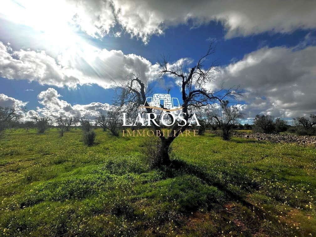 2.jpg - Agricultural land SP229 154, Vernole - photo 1