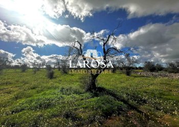 2.jpg - Agricultural land SP229 154, Vernole - photo 1