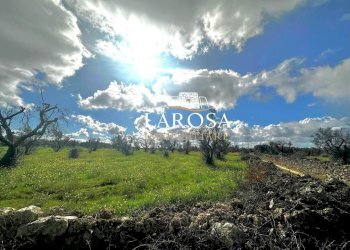 1.jpg - Agricultural land SP229 154, Vernole - photo 2