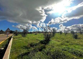 3.jpg - Agricultural land SP229 154, Vernole - photo 3