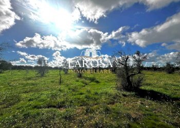 4.jpg - Agricultural land SP229 154, Vernole - photo 4