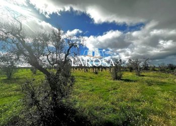 5.jpg - Agricultural land SP229 154, Vernole - photo 5