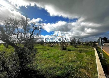 6.jpg - Agricultural land SP229 154, Vernole - photo 6