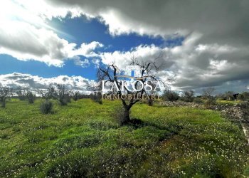 7.jpg - Agricultural land SP229 154, Vernole - photo 7