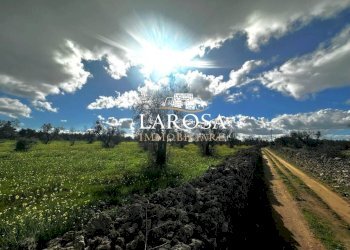 8.jpg - Agricultural land SP229 154, Vernole - photo 8