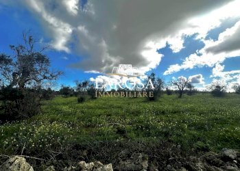 9.jpg - Agricultural land SP229 154, Vernole - photo 9