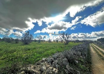 10.jpg - Agricultural land SP229 154, Vernole - photo 10