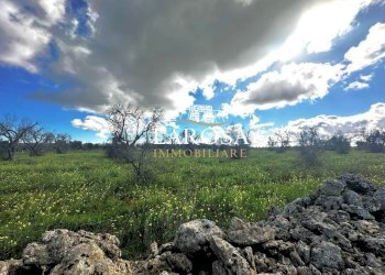 13.jpg - Agricultural land SP229 154, Vernole - photo 13