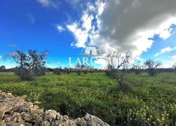 15.jpg - Agricultural land SP229 154, Vernole - photo 15