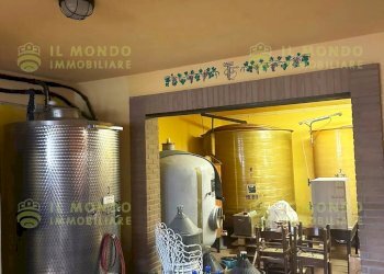 Villa Località Lago, Borgo Priolo - foto 17