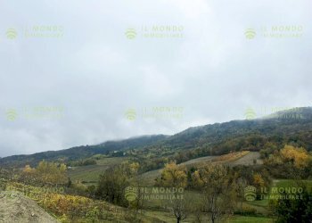 Villa Località Lago, Borgo Priolo - foto 18