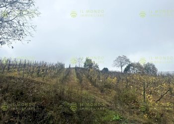 Villa Località Lago, Borgo Priolo - foto 22