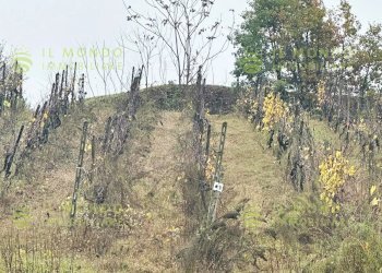 Villa Località Lago, Borgo Priolo - foto 24