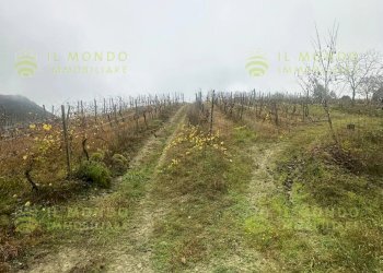 Villa Località Lago, Borgo Priolo - foto 26