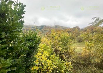 Dimora Storica Agazzano - foto 18