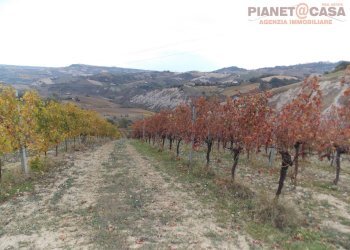 Foto 1 - Terreno agricolo Trivio, Ripatransone - foto 1