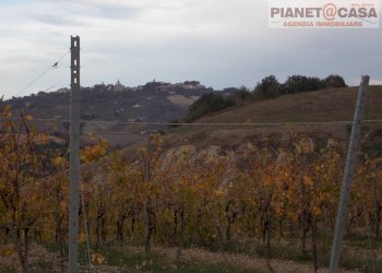 Foto 4 - Terreno agricolo Trivio, Ripatransone - foto 4