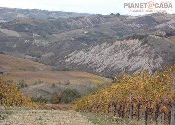 Foto 6 - Terreno agricolo Trivio, Ripatransone - foto 6