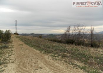 Foto 8 - Terreno agricolo Trivio, Ripatransone - foto 8