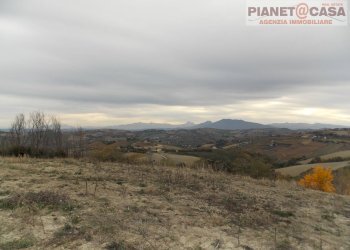 Foto 9 - Terreno agricolo Trivio, Ripatransone - foto 9