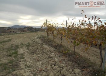 Foto 14 - Terreno agricolo Trivio, Ripatransone - foto 14