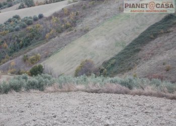 Foto 18 - Terreno agricolo Trivio, Ripatransone - foto 18