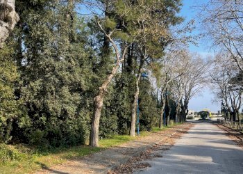 Foto 18 - Bilocale Sandro Botticelli, Comacchio - foto 17