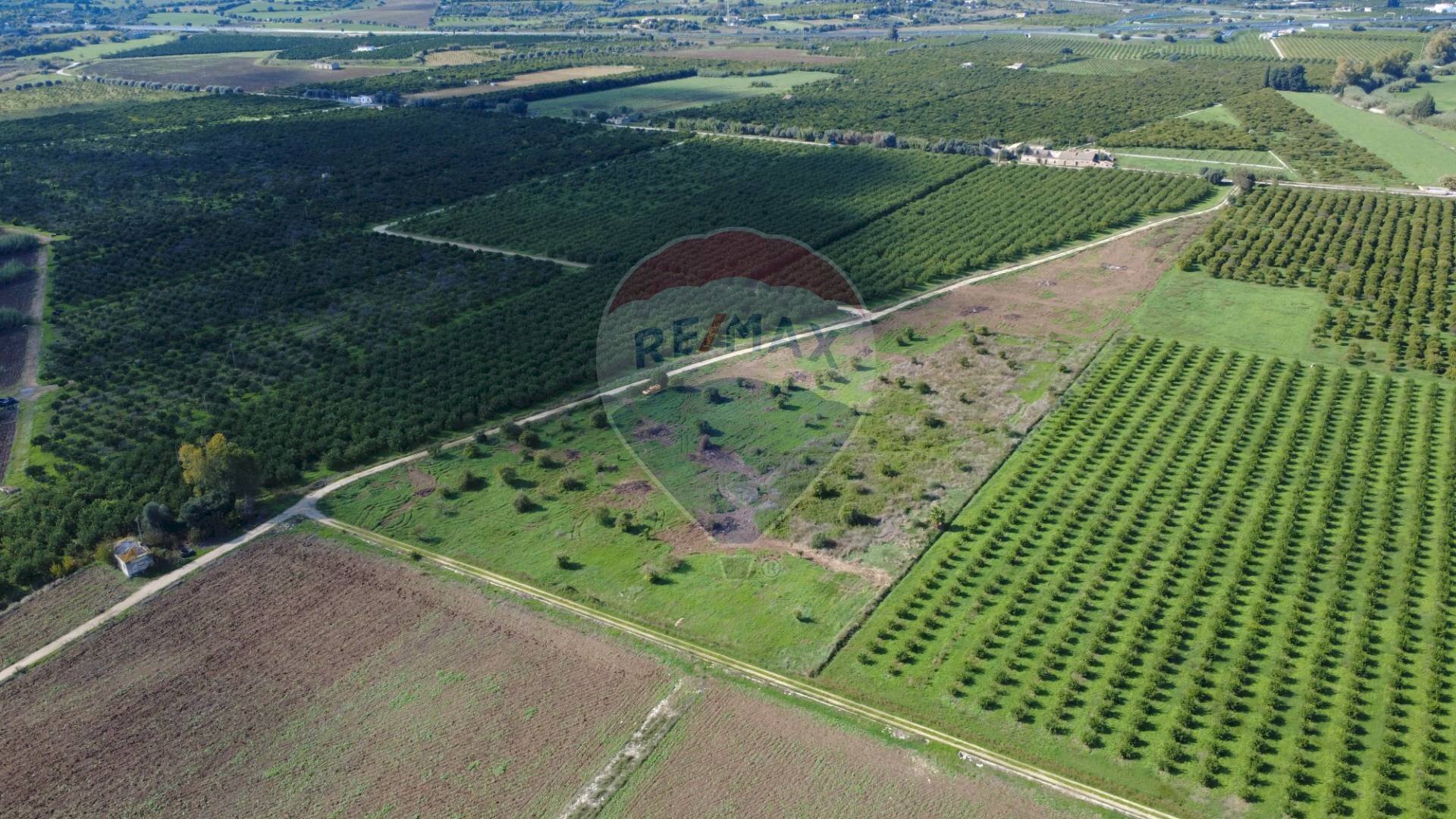 Posizione della mappa - Agricultural land CONTRADA FONTE CIANE-PANTANO, Siracusa - photo 1