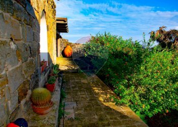 Giardino - Villa Contrada Khamma, Pantelleria - foto 38